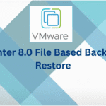 vCenter file-based backup and restore